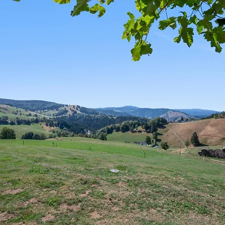Bauernhof Rotenhof Münstertal-staufen Münstertal